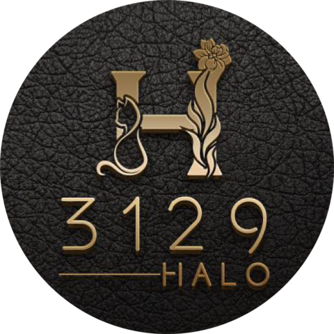 3129 HALO LIVE